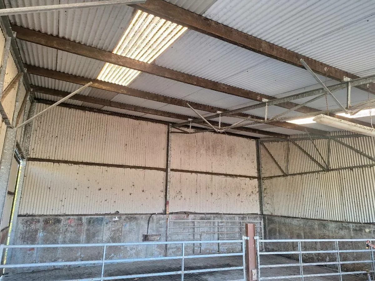 Shed for rent - Image 2