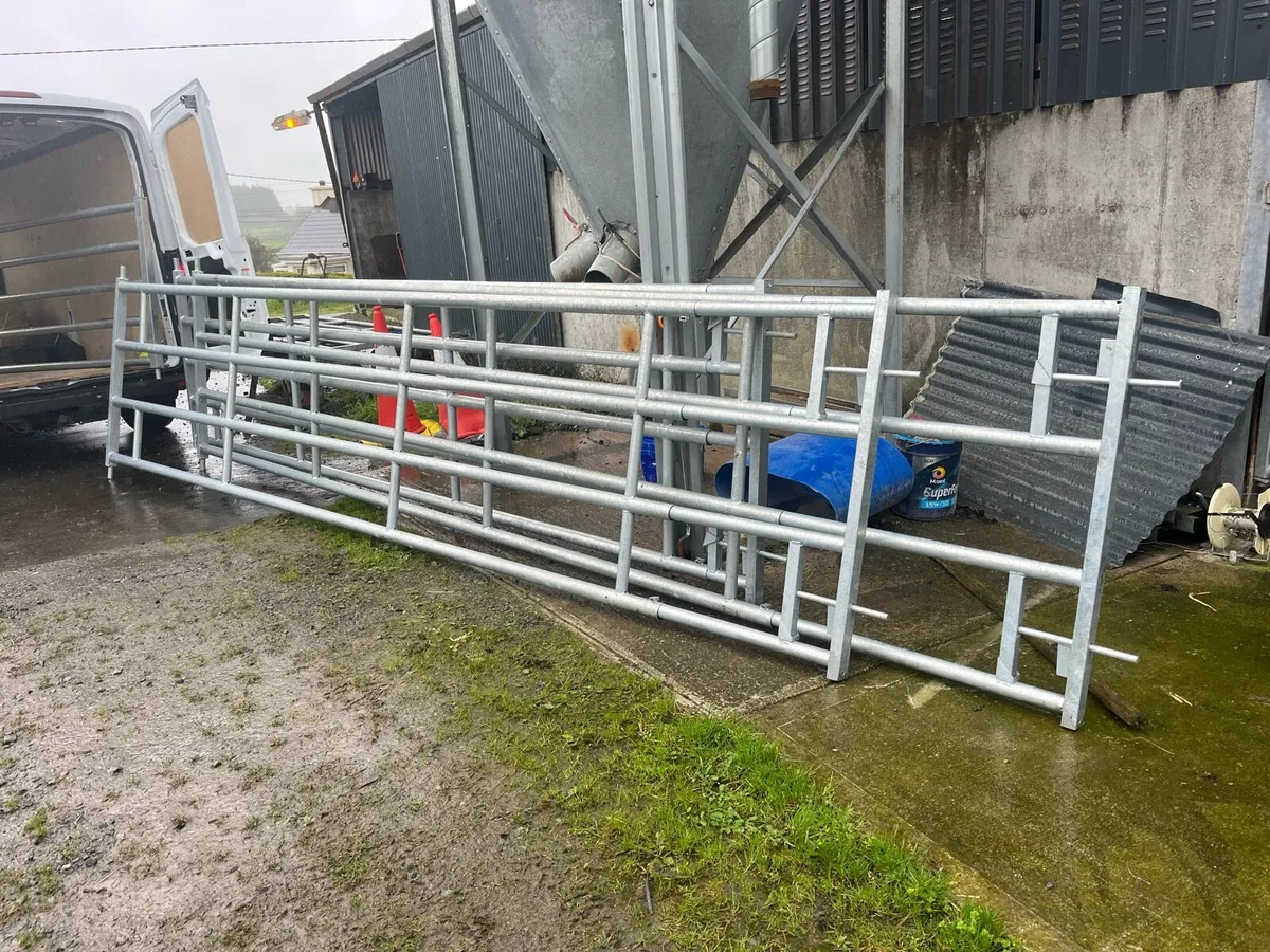 Sheep pen gates and feeding barriers - Image 4