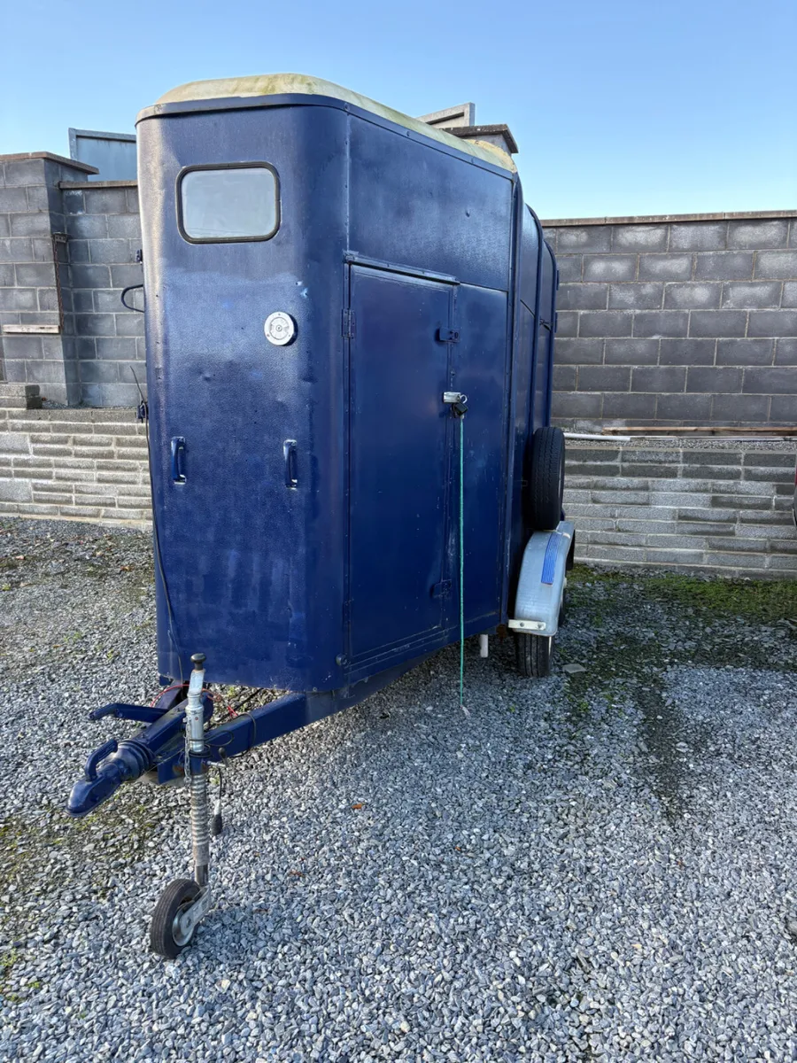 Catering trailer Horse box - Image 3
