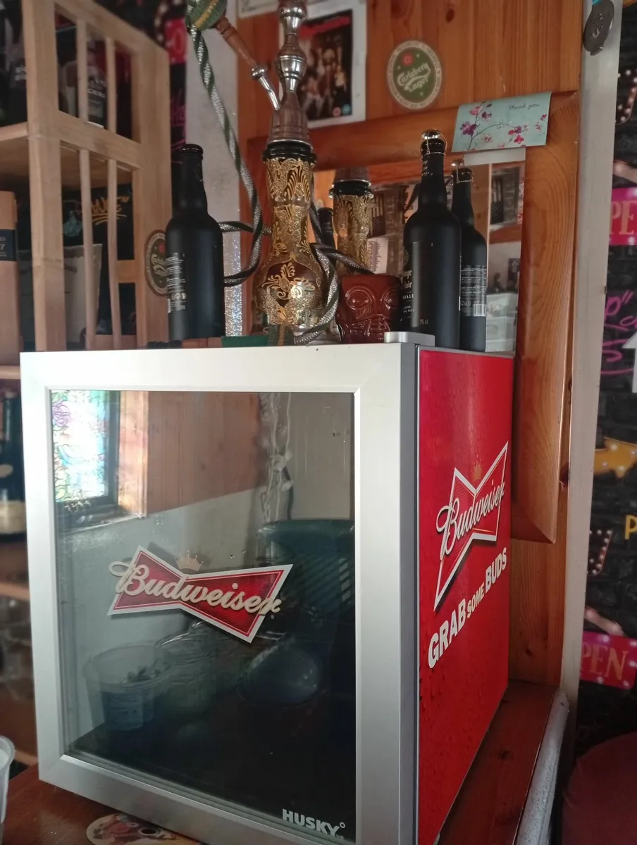 Mini beer fridge - Image 1