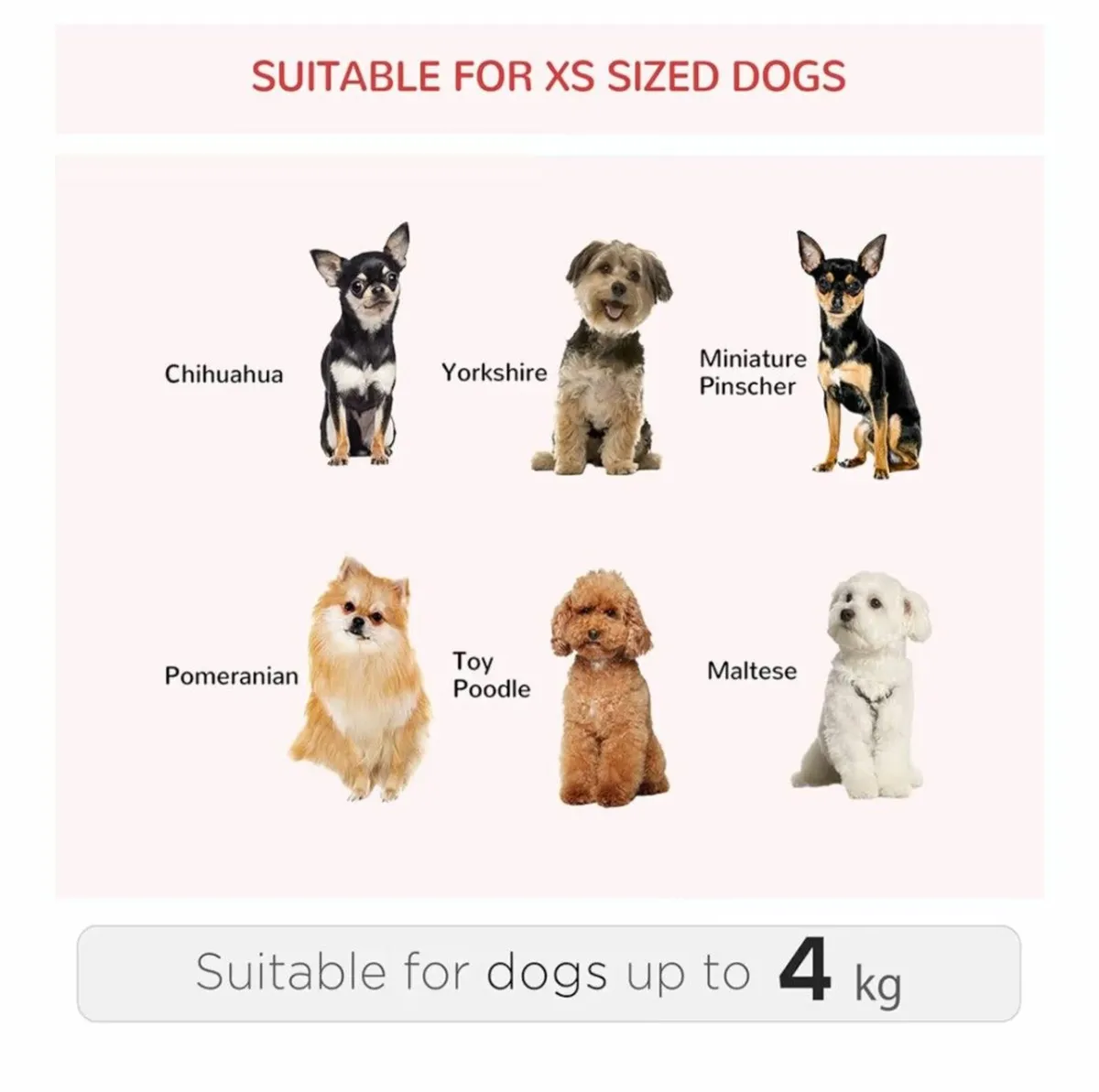 Pet trolley/ backpack - Image 4