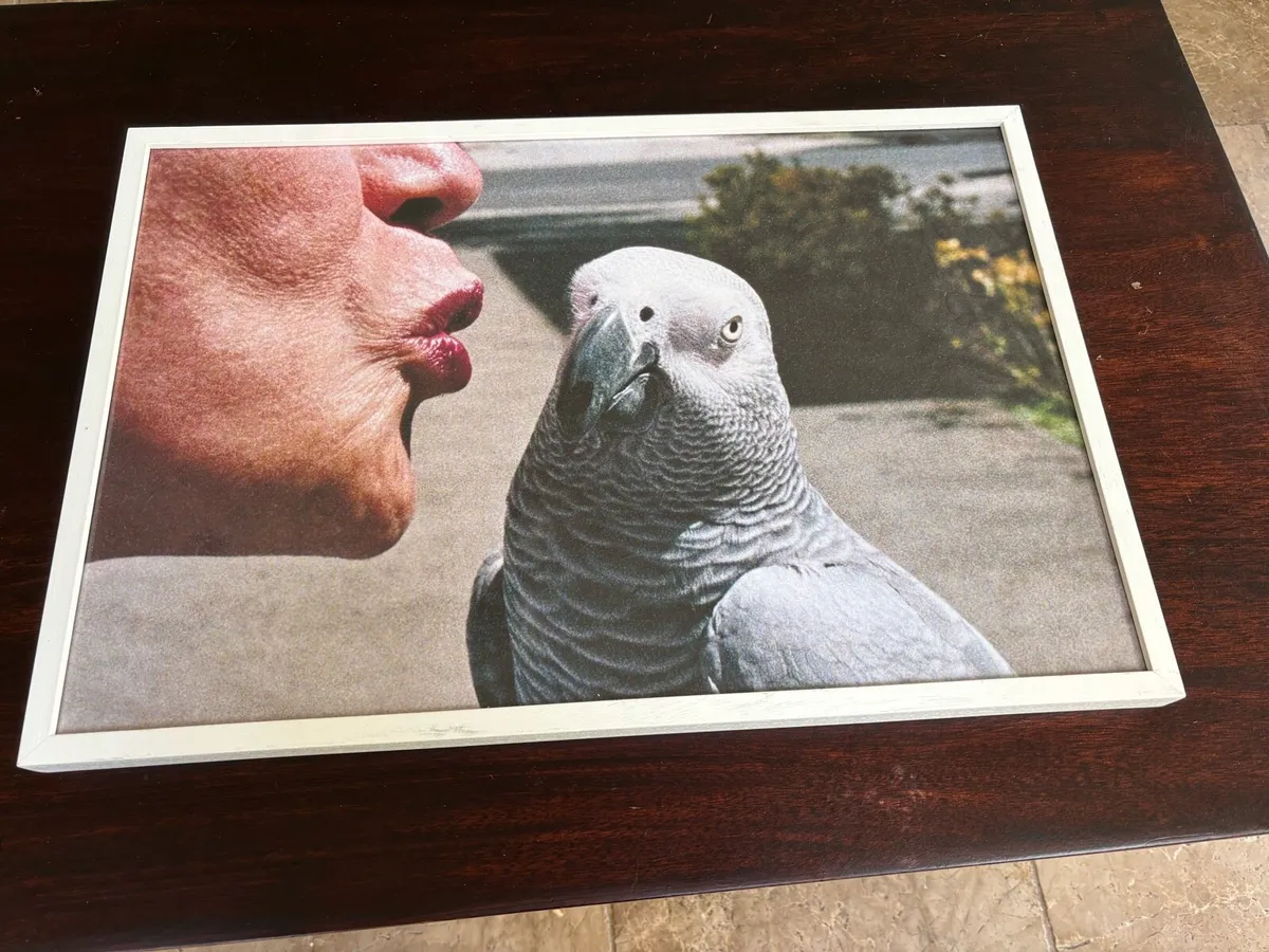 Framed Carly Palmour Ltd Ed Print - The Flirt - Image 1