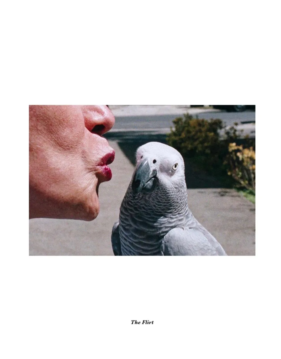 Framed Carly Palmour Ltd Ed Print - The Flirt - Image 2