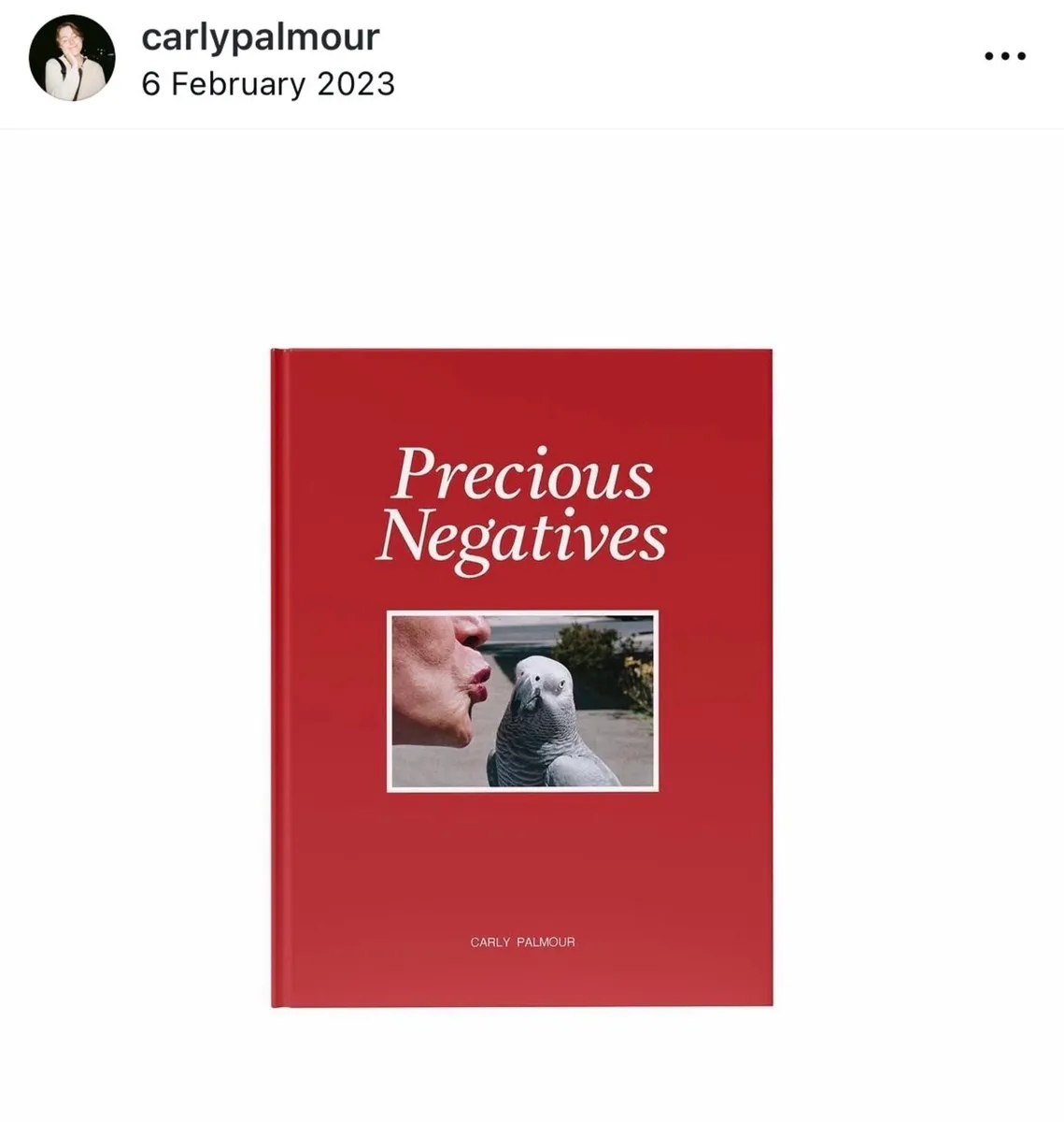 Framed Carly Palmour Ltd Ed Print - The Flirt - Image 3