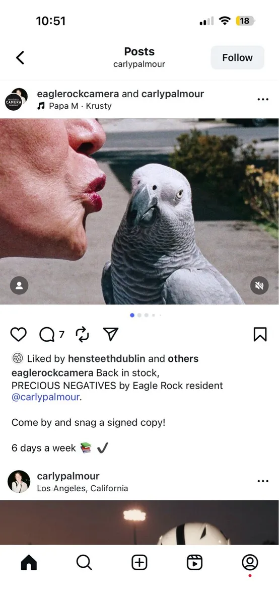 Framed Carly Palmour Ltd Ed Print - The Flirt - Image 4