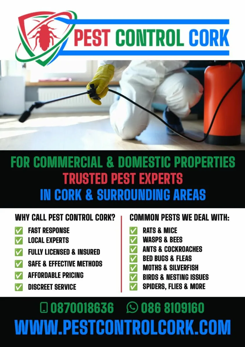 Pest Control 24 7