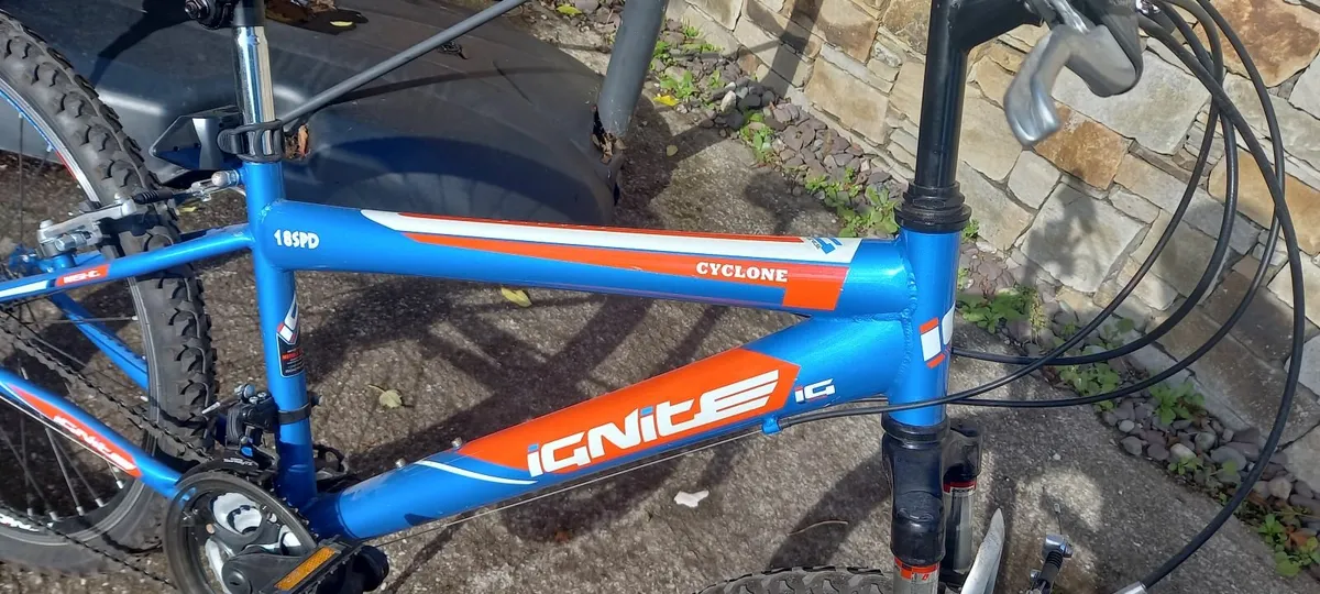 Boys Mountain Bike - Image 1