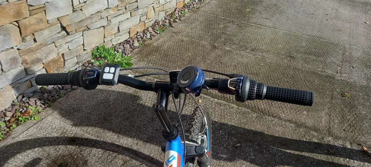 Boys Mountain Bike - Image 2