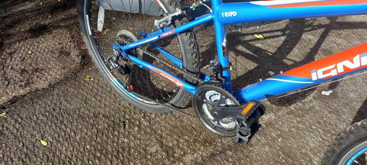 Boys Mountain Bike - Image 3