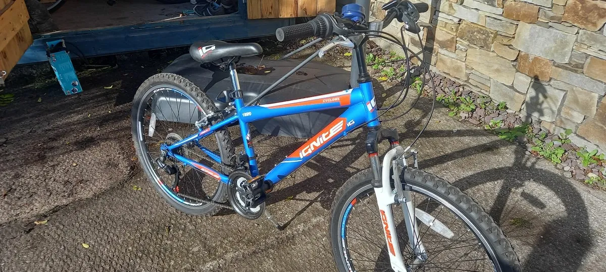 Boys Mountain Bike - Image 4