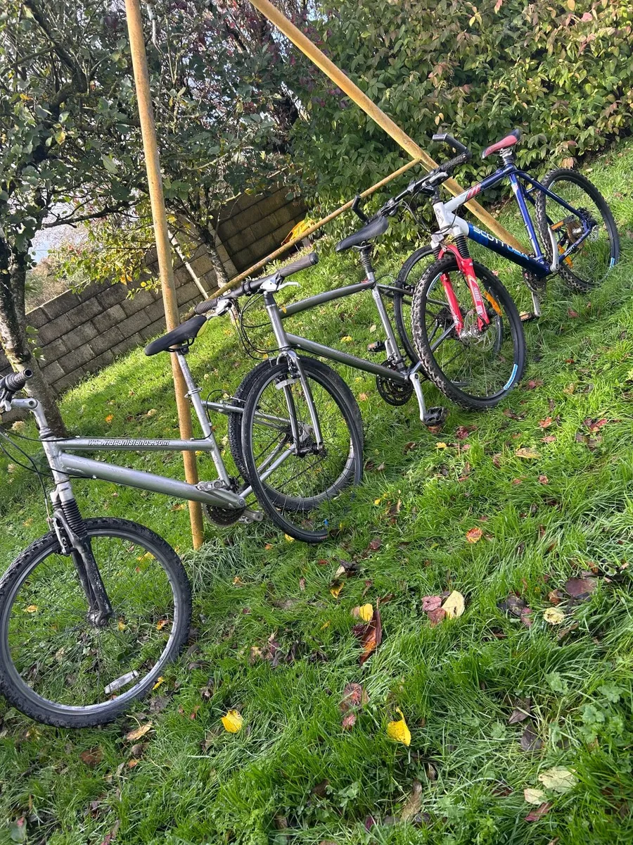3 Bikes for sale - Image 1
