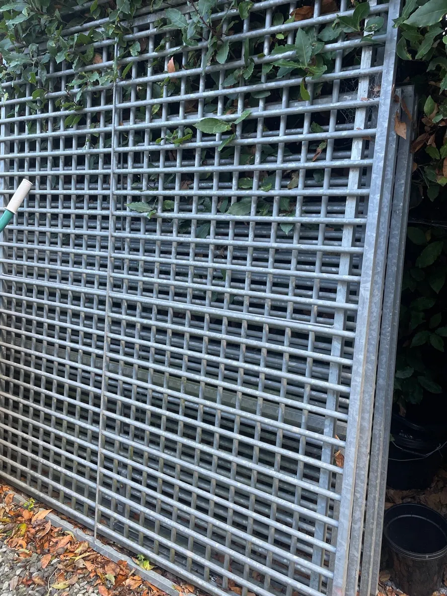 Metal bars with gate/Dog, Pet Run - Image 1