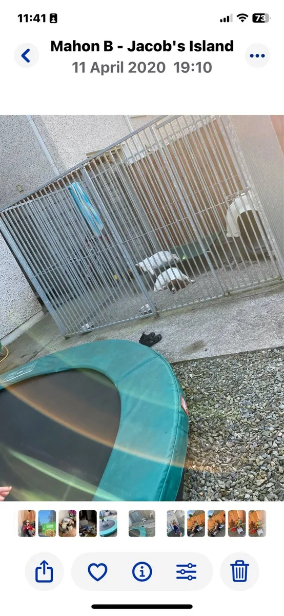 Metal bars with gate/Dog, Pet Run - Image 2