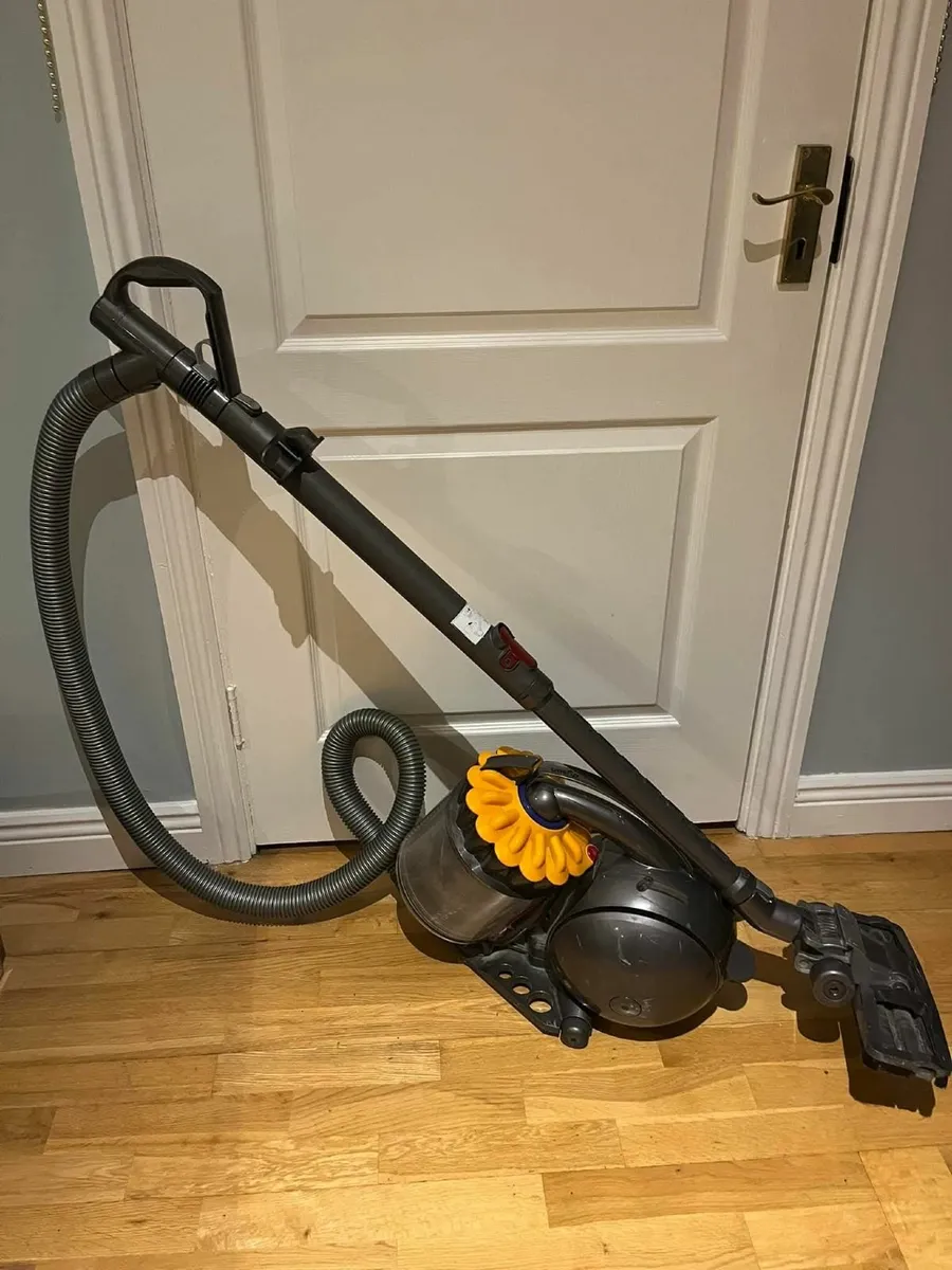 Dyson animal Hoover