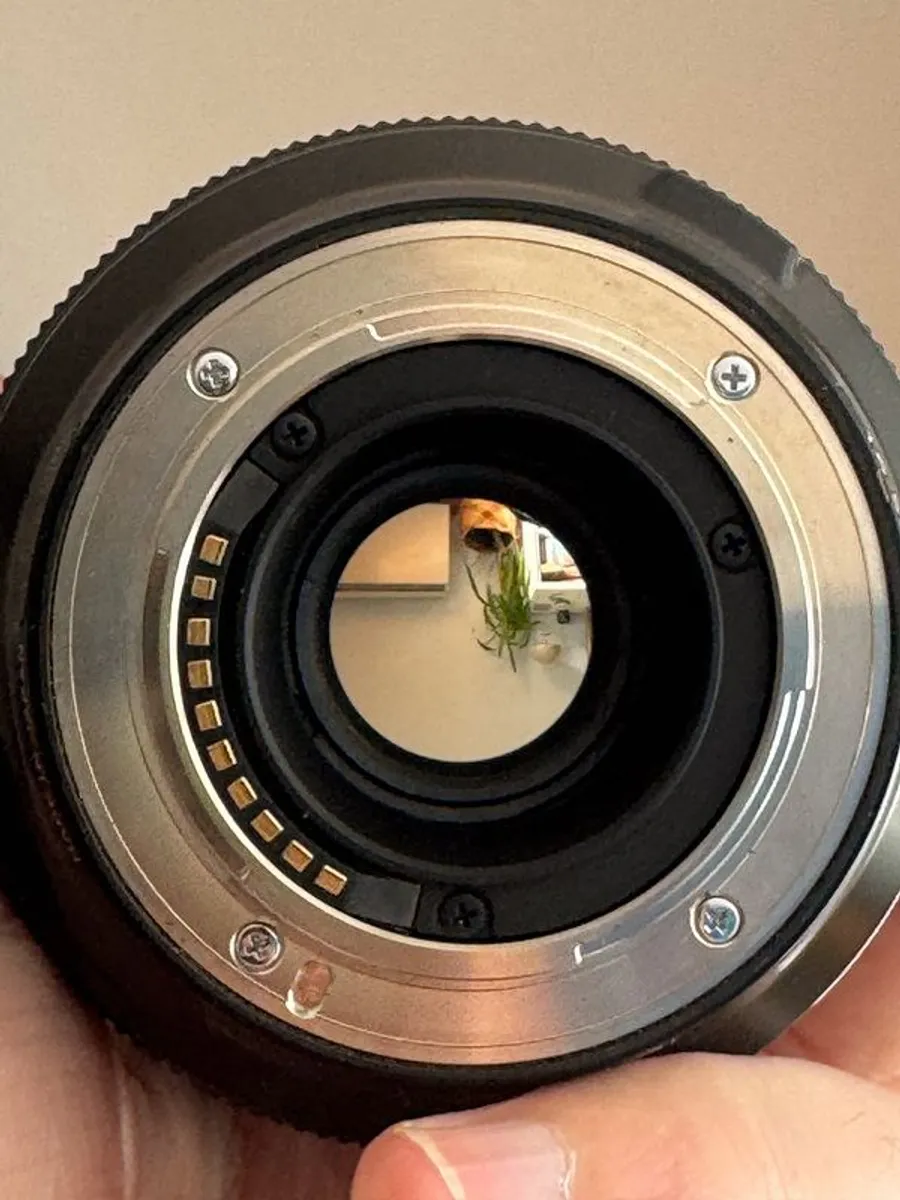 Fujifilm XF 16-55mm f/2.8 R LM WR - Image 2