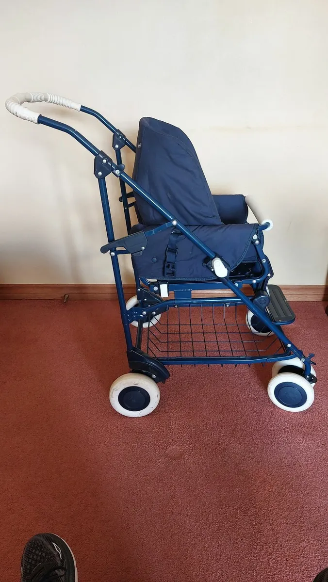 Pram and Buggy - Image 3