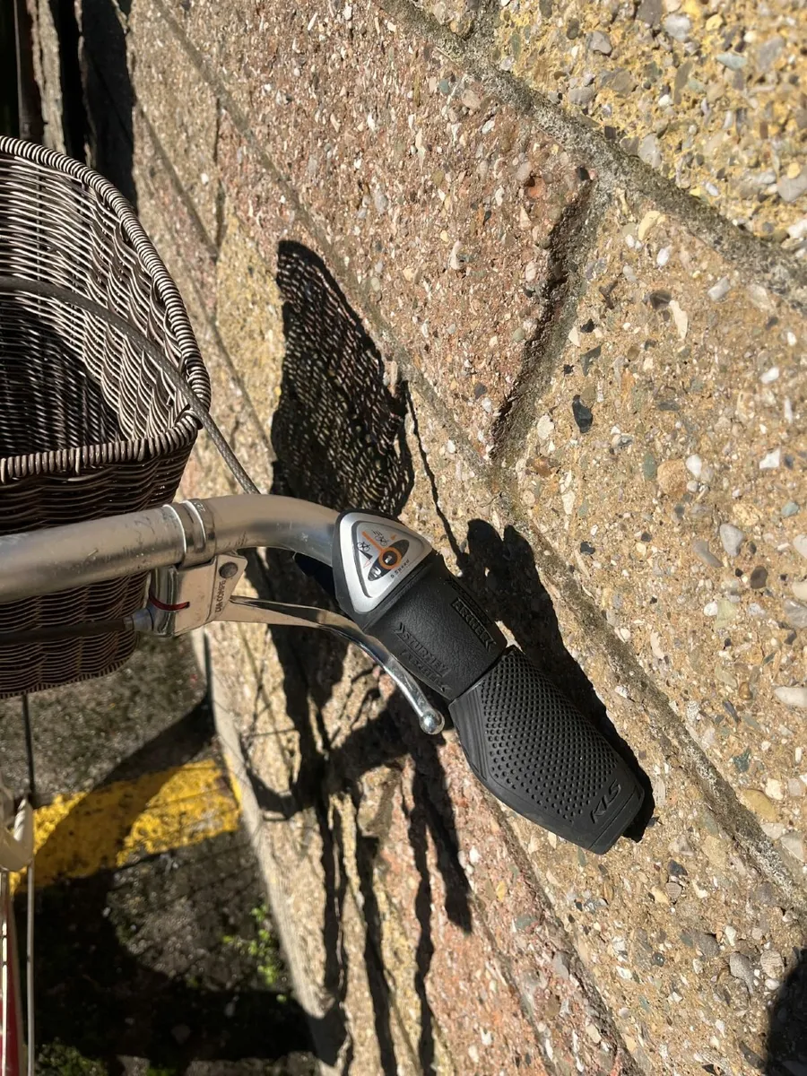 Cool Roetz Dutch Ladies Bike - Image 2