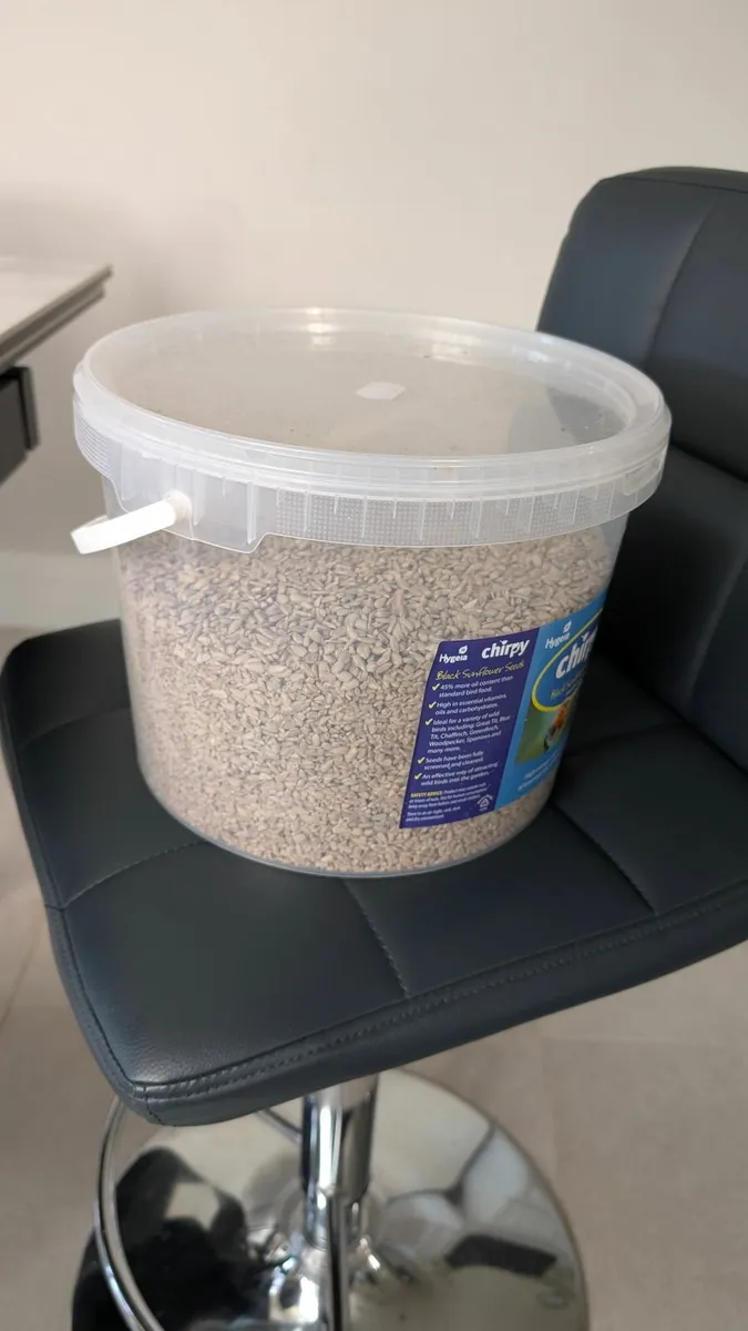 Bird sunflower seeds - give away
