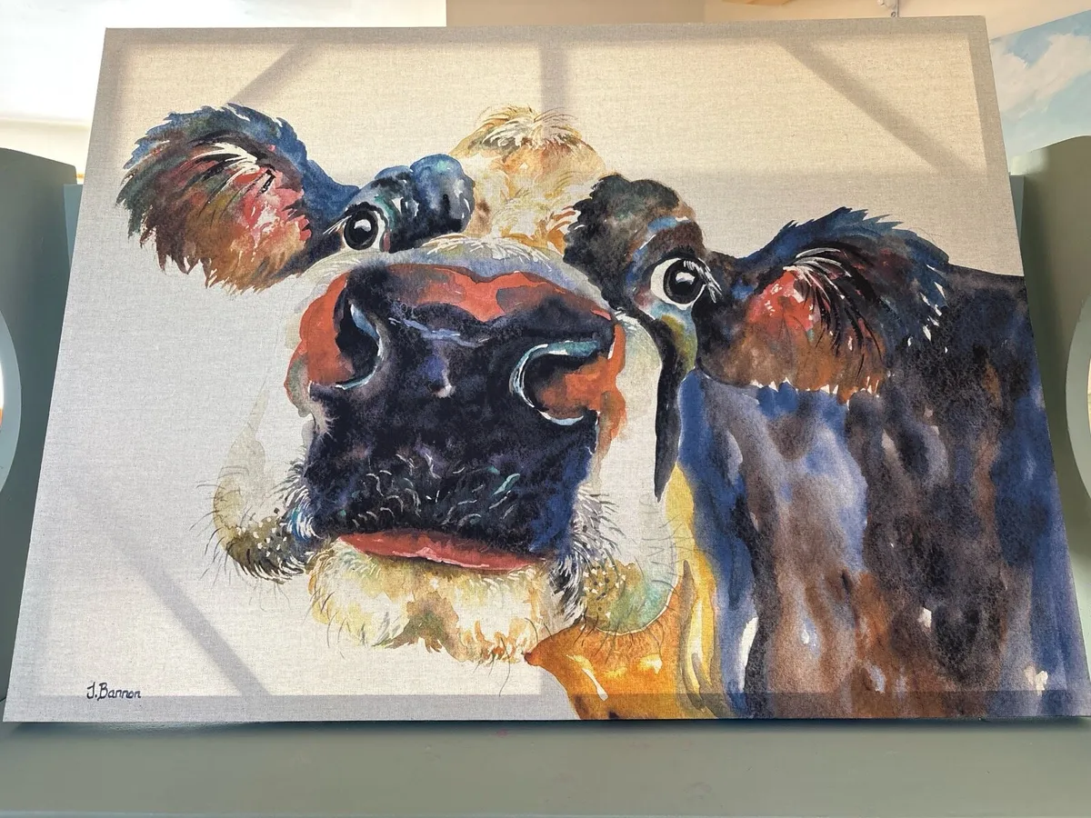 🎨 Colourful Cow Canvas – J. Bannon – 60 × 80 cm