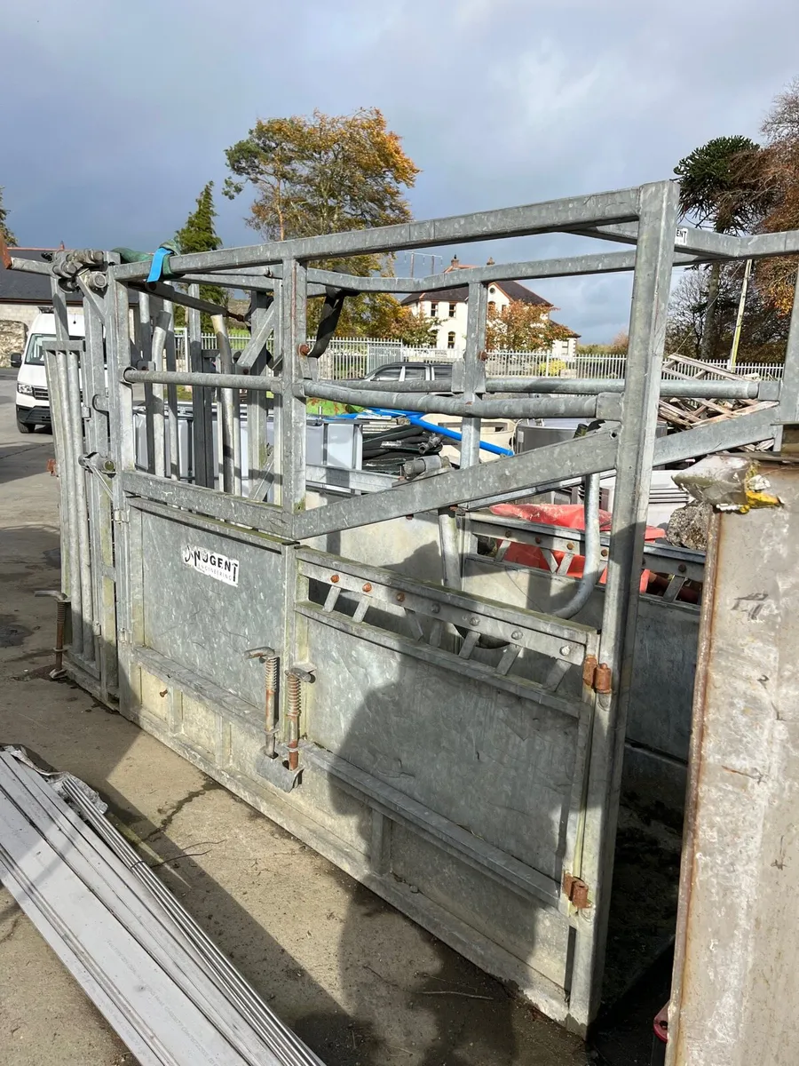 Nugent crush - Image 1