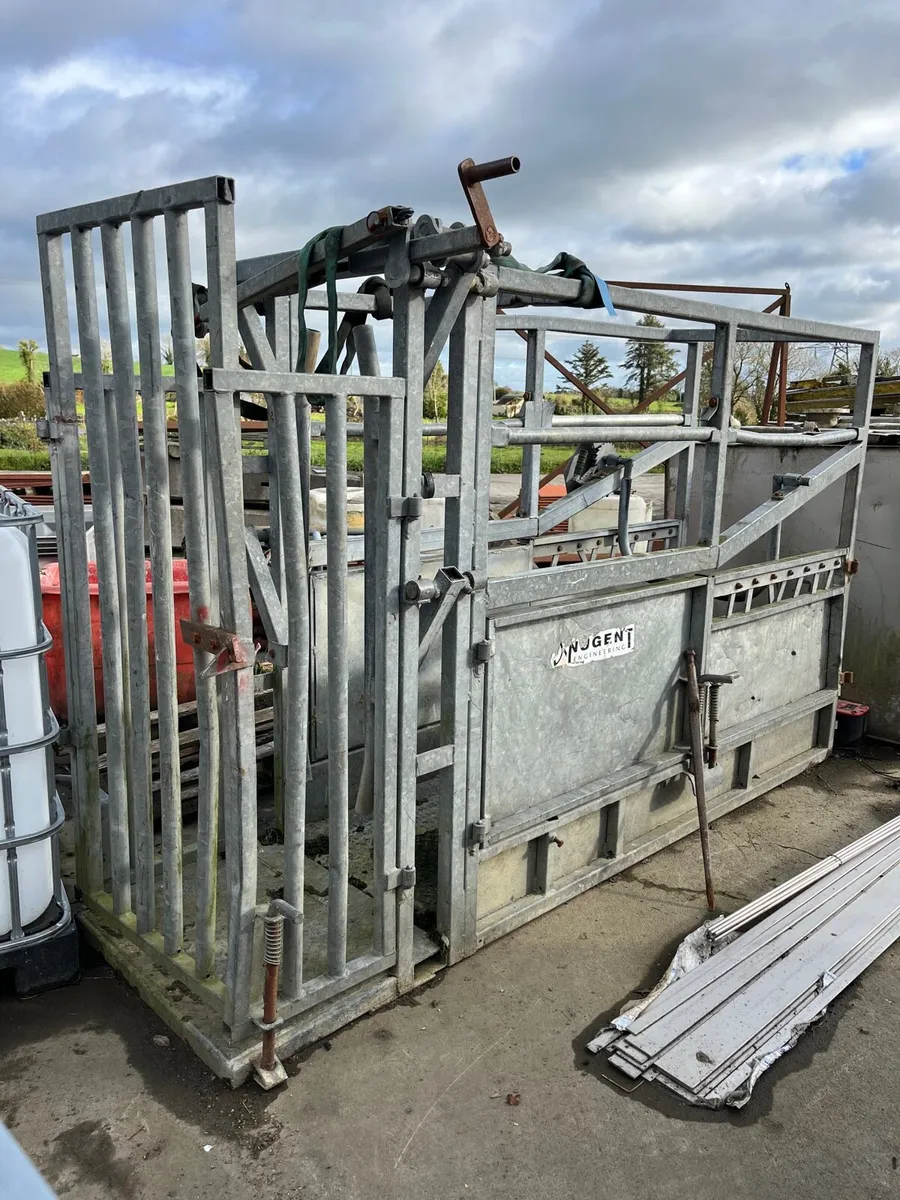 Nugent crush - Image 2