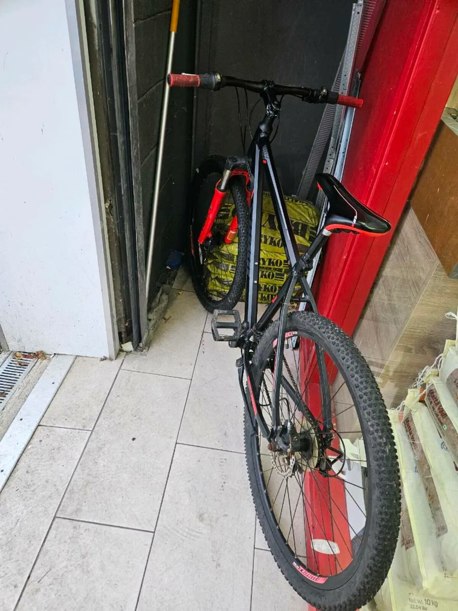Mountain bike - Image 1