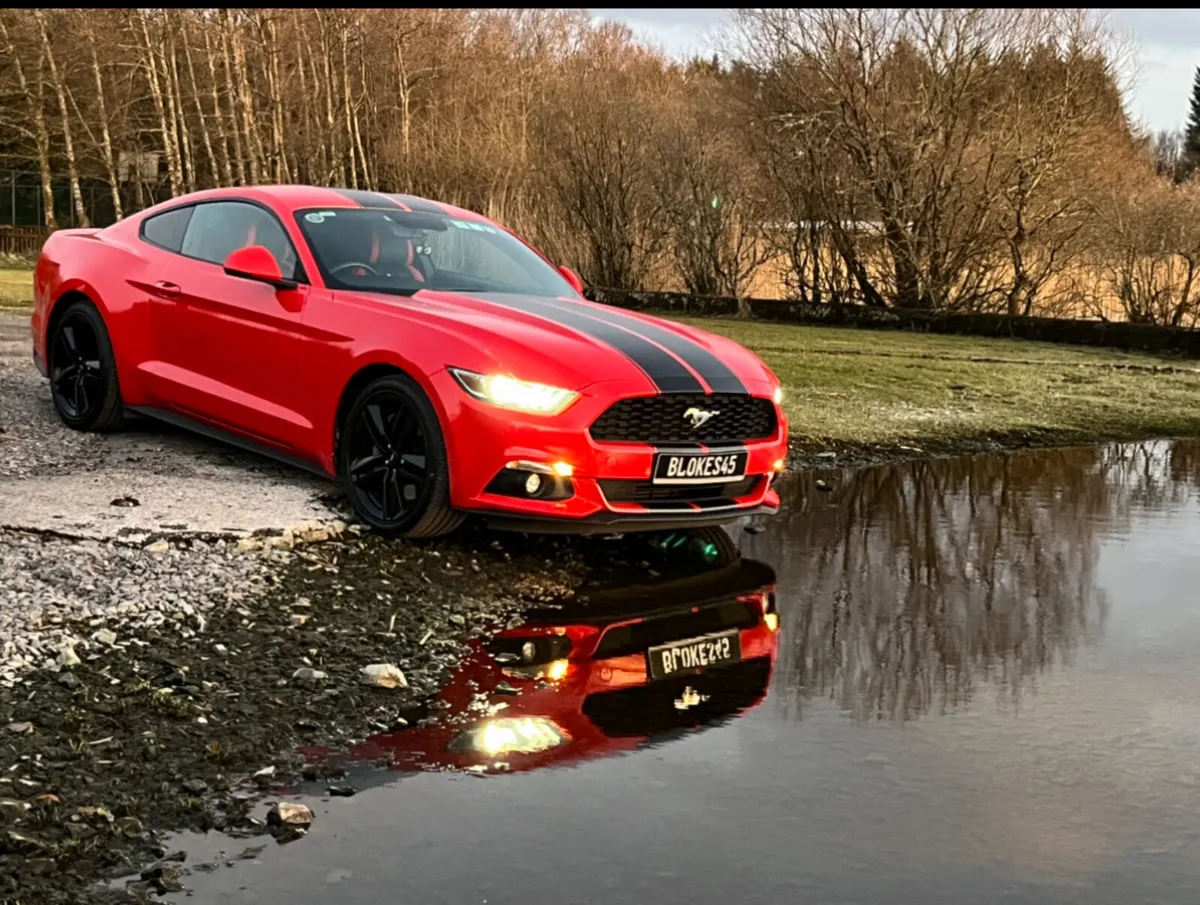 Ford Mustang 2.3T EB - Image 1