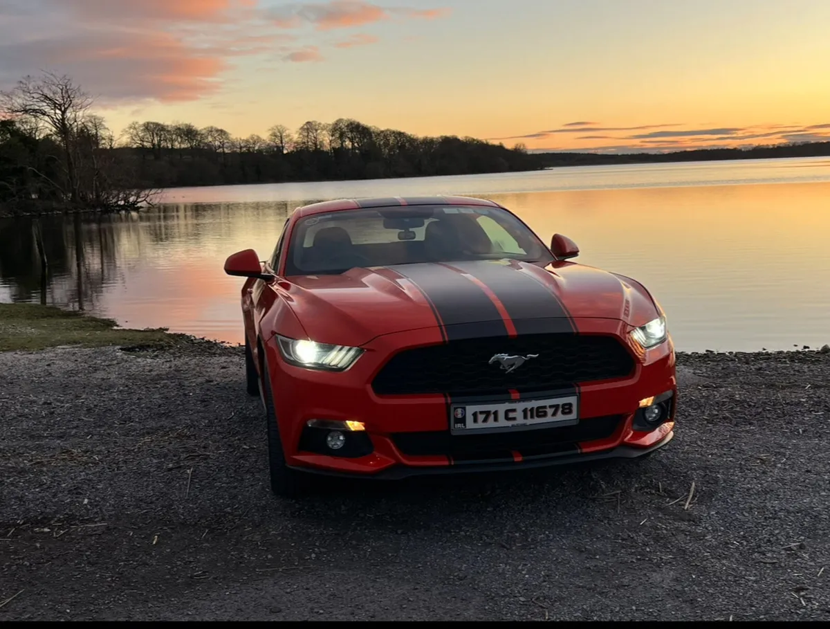 Ford Mustang 2.3T EB - Image 2