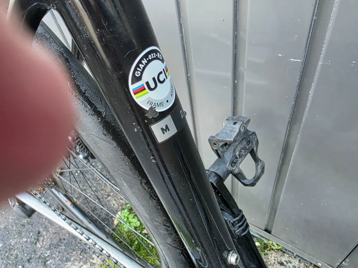 Giant Defy - Image 2