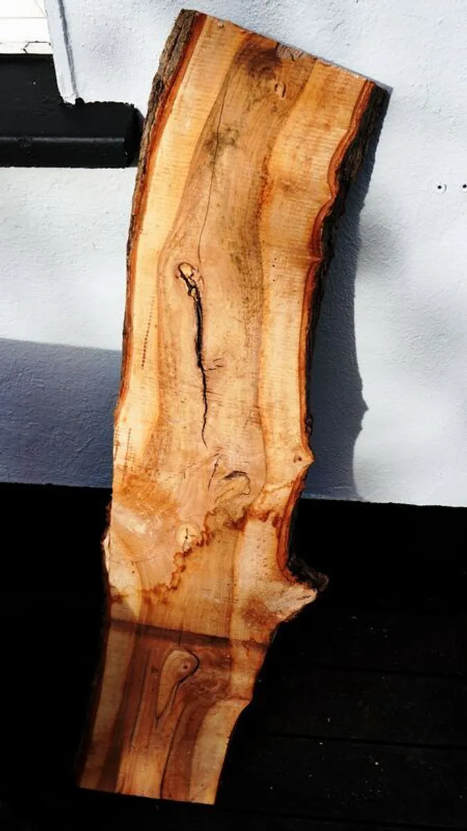 Live Edge Slabs Timber Hardwood Free Delivery Live - Image 2
