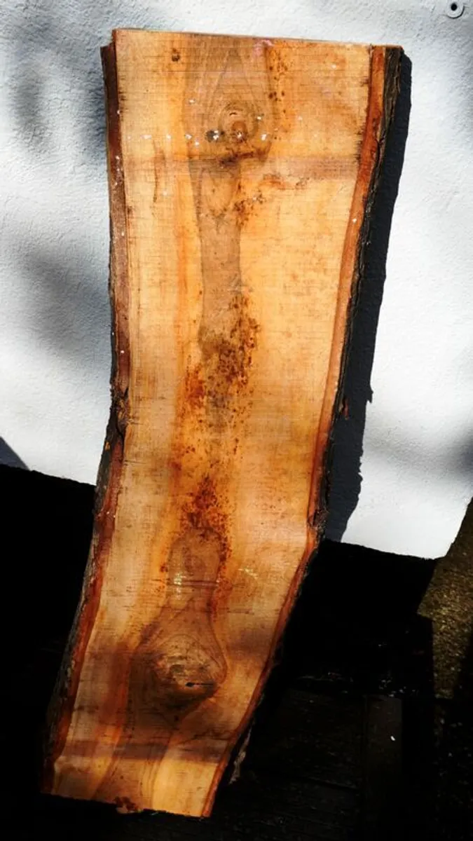 Live Edge Slabs Timber Hardwood Free Delivery Live - Image 3