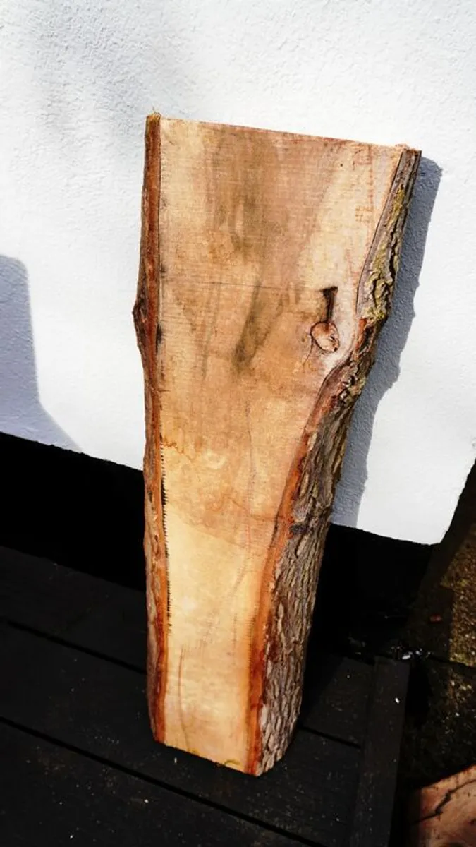 Live Edge Slabs Timber Hardwood Free Delivery Live - Image 4