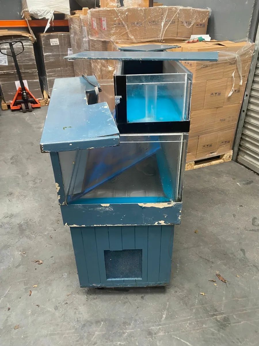 Lobster Tank - Image 3