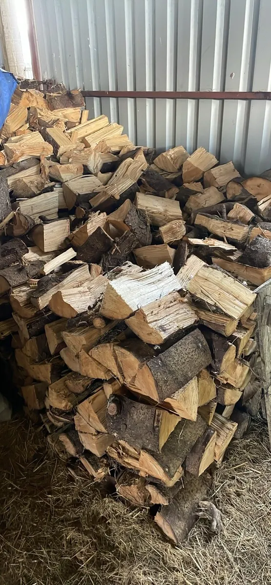 Firewood - Image 1
