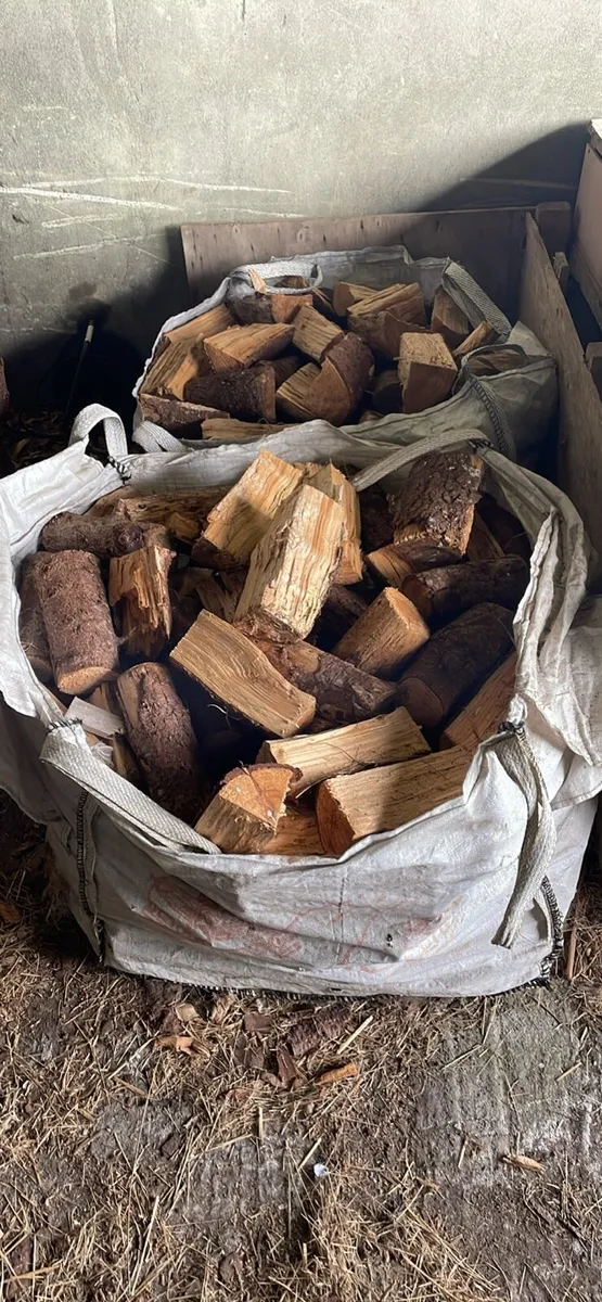 Firewood - Image 3