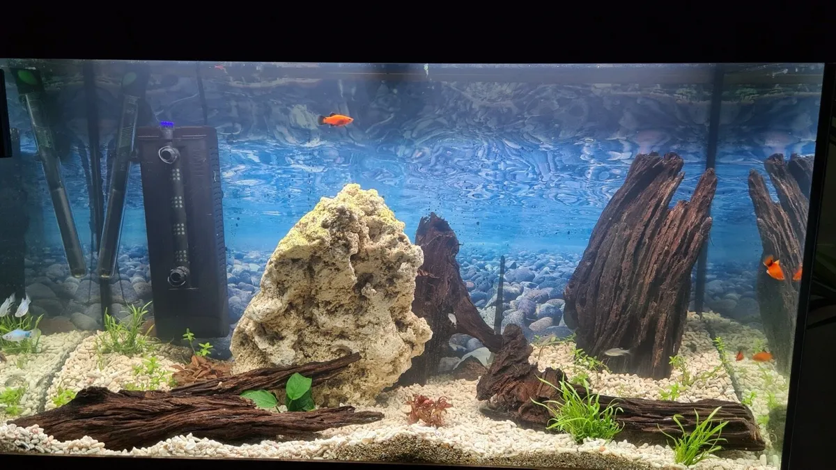 120L Fish tank with fluval 207 filter and spares - Image 1