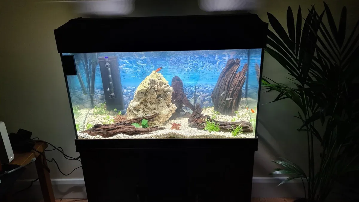 120L Fish tank with fluval 207 filter and spares - Image 2