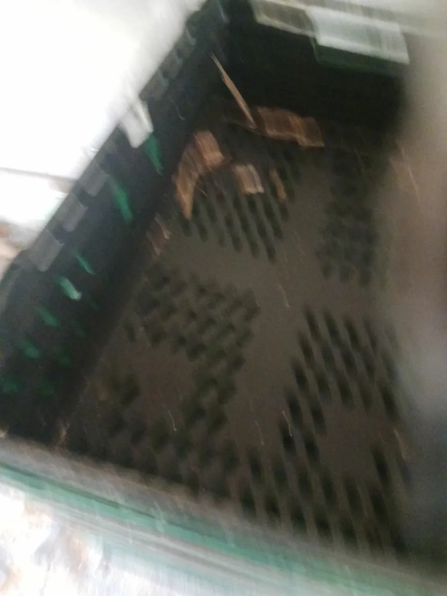 Storage  boxes - Image 2