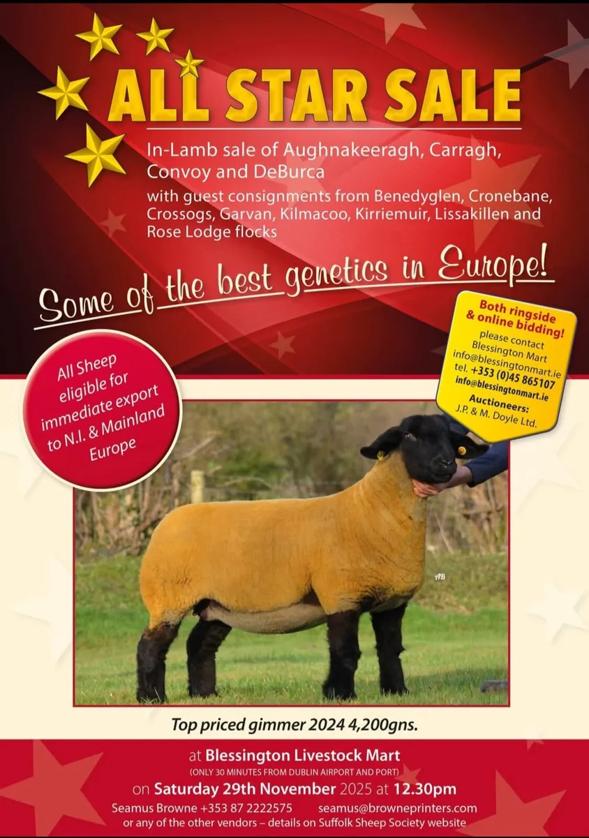 SATURDAY 29TH NOVEMBER THE ALL STAR