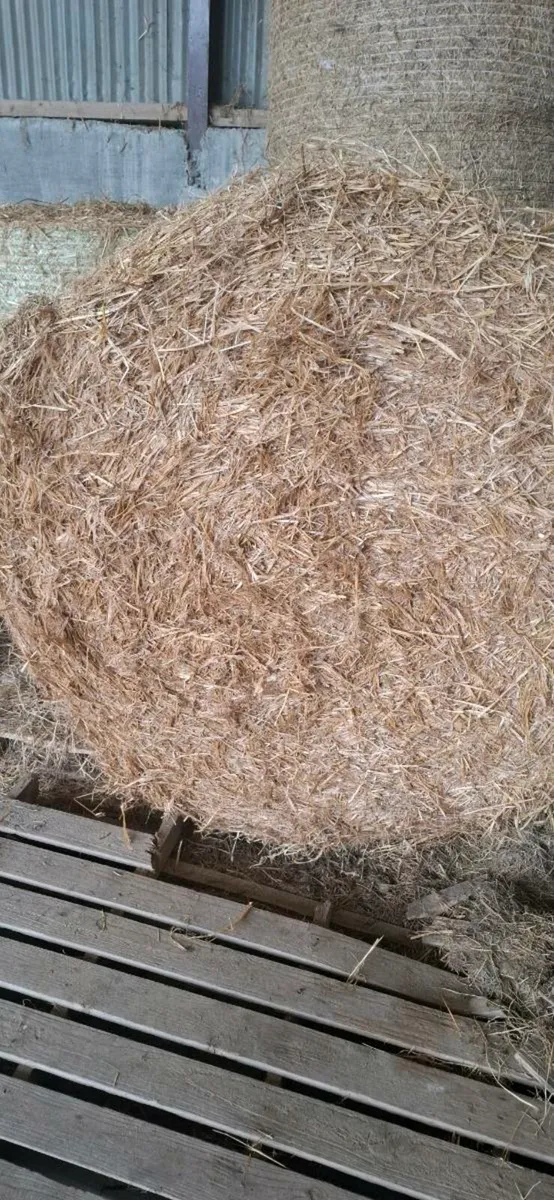 Hay*haylage*Straw - Image 2
