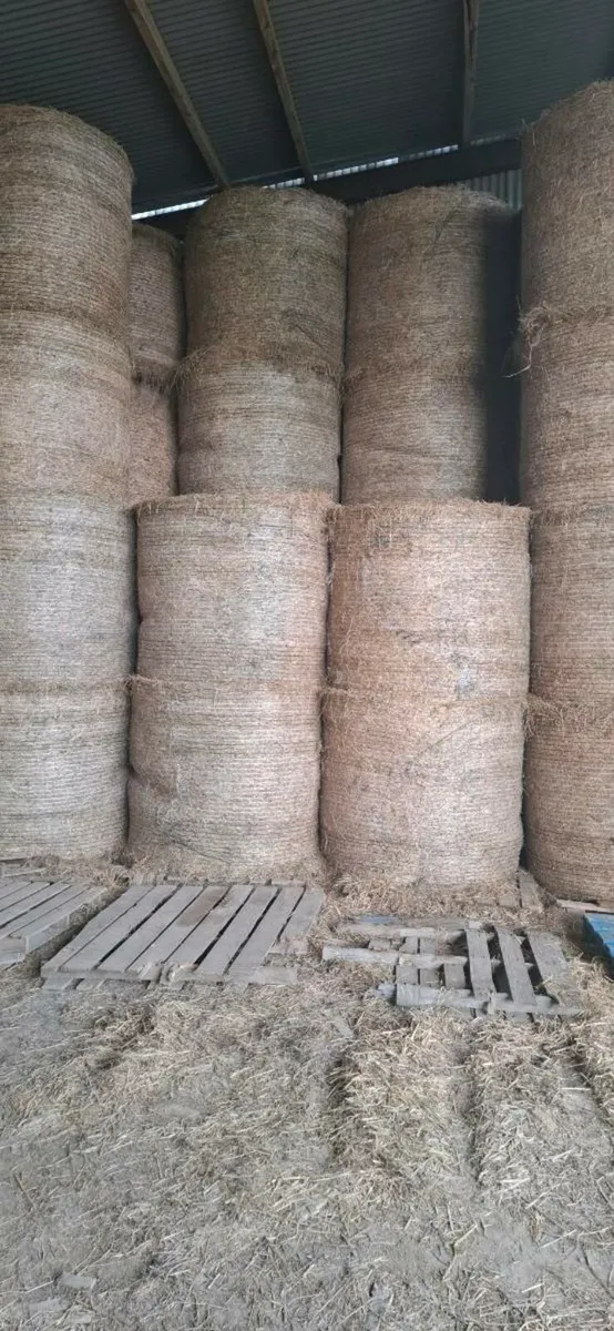 Hay*haylage*Straw - Image 1