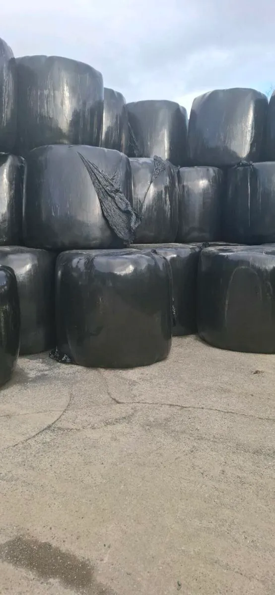 Hay*haylage*Straw - Image 3