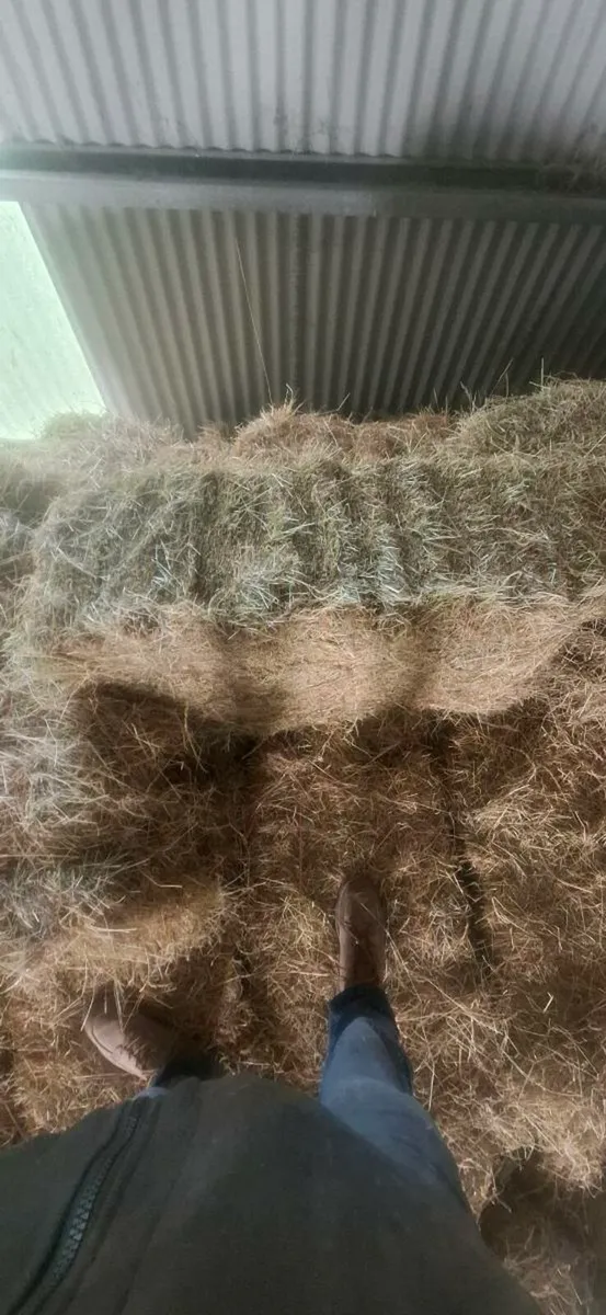 Hay*haylage*Straw - Image 4