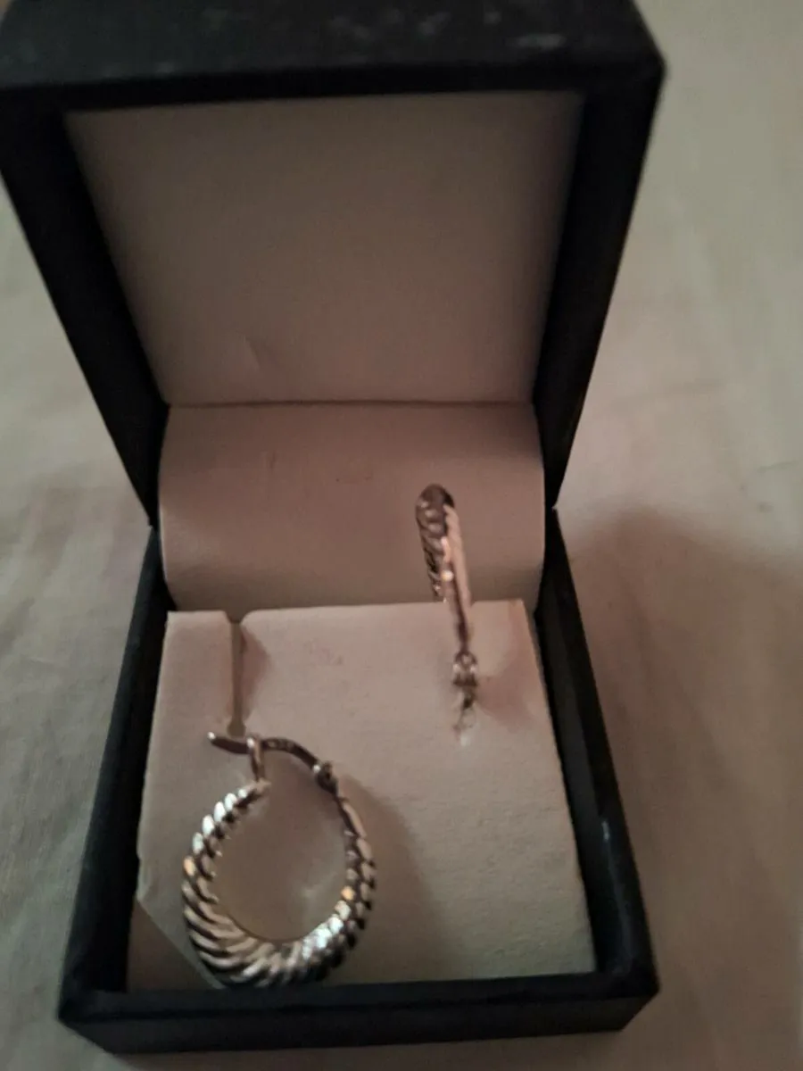 Sliver earrings - Image 3