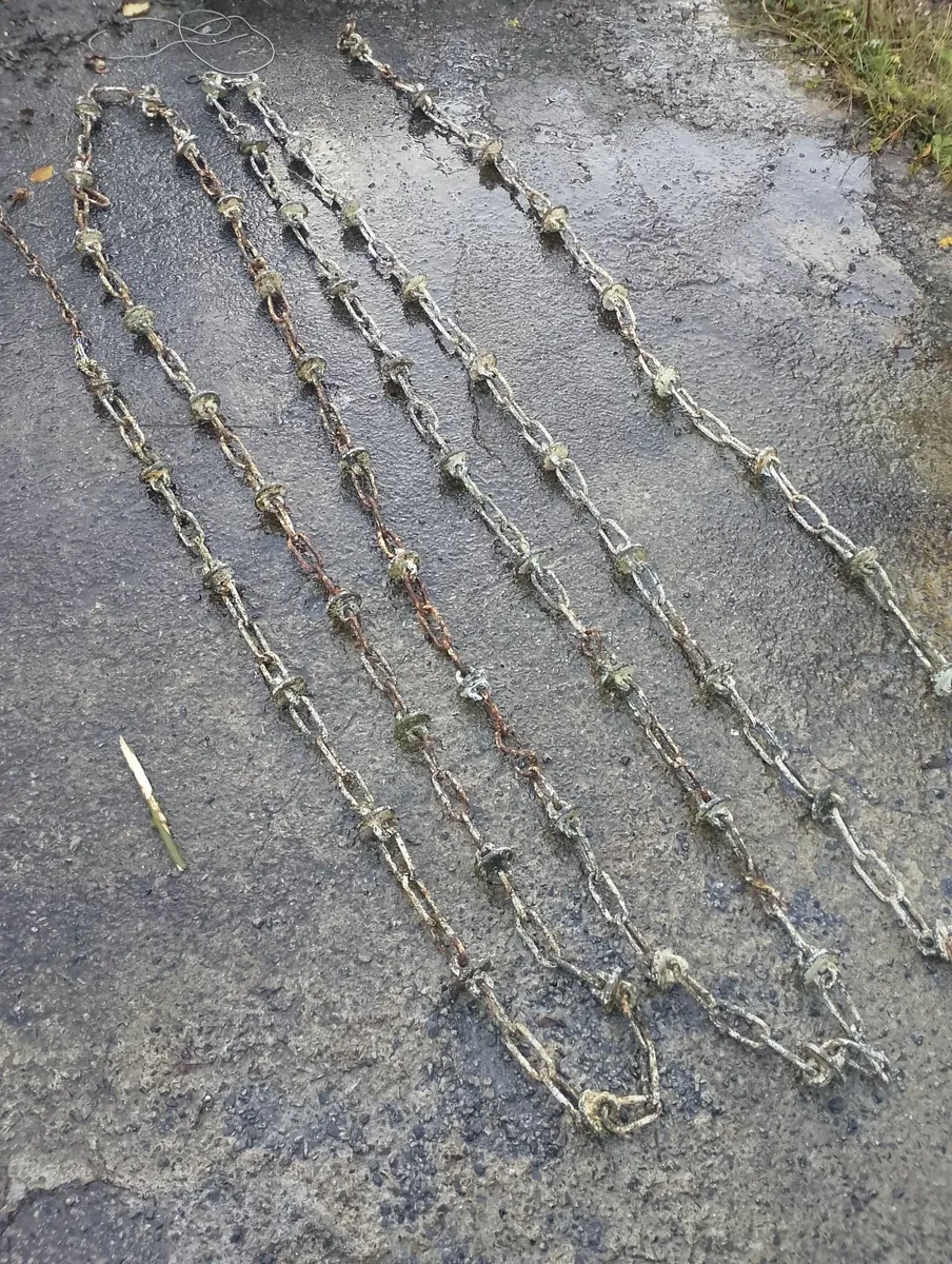 40ft entrance chain - Image 1