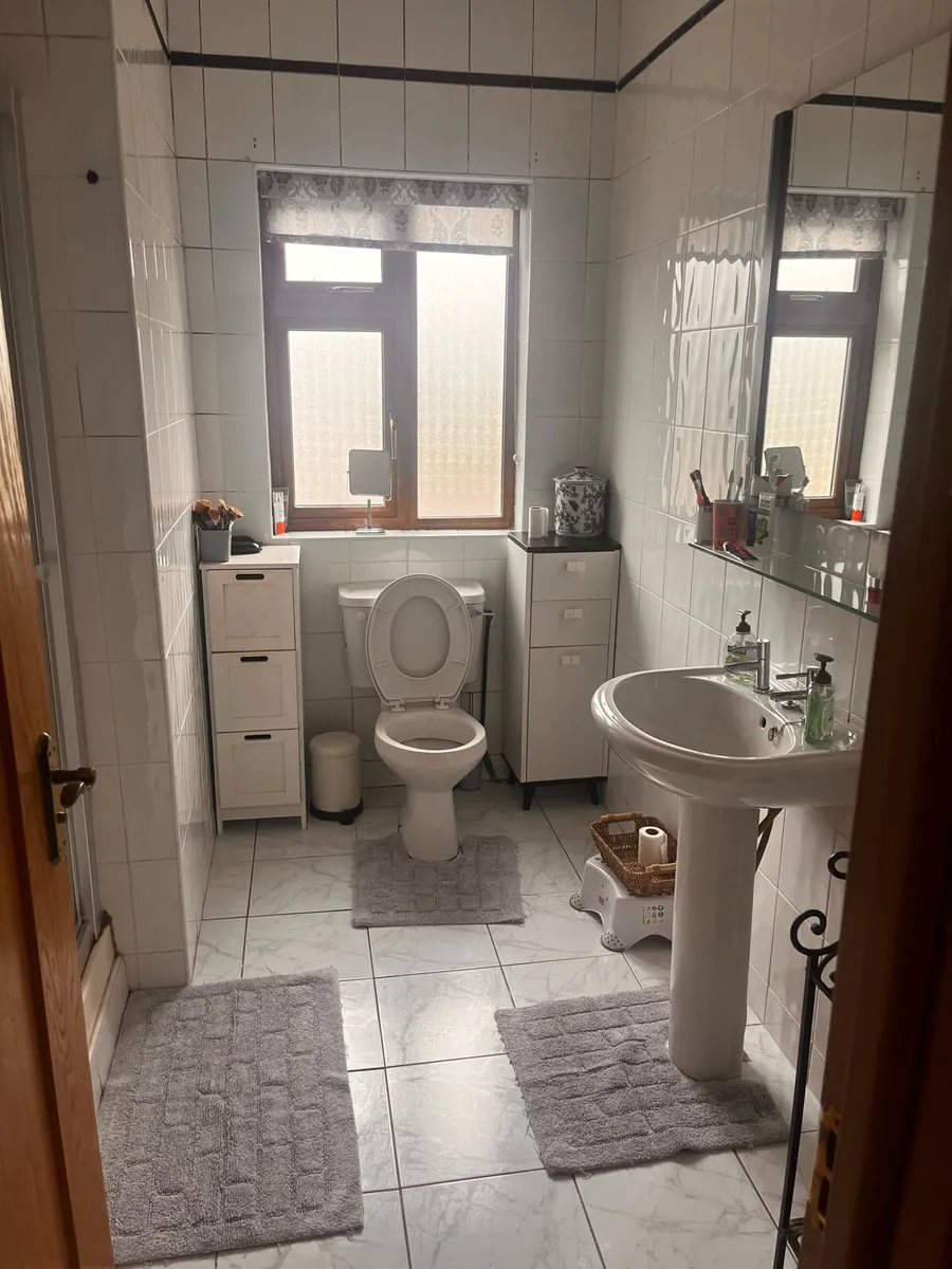 Bathroom (Toilet, sink, mirror)