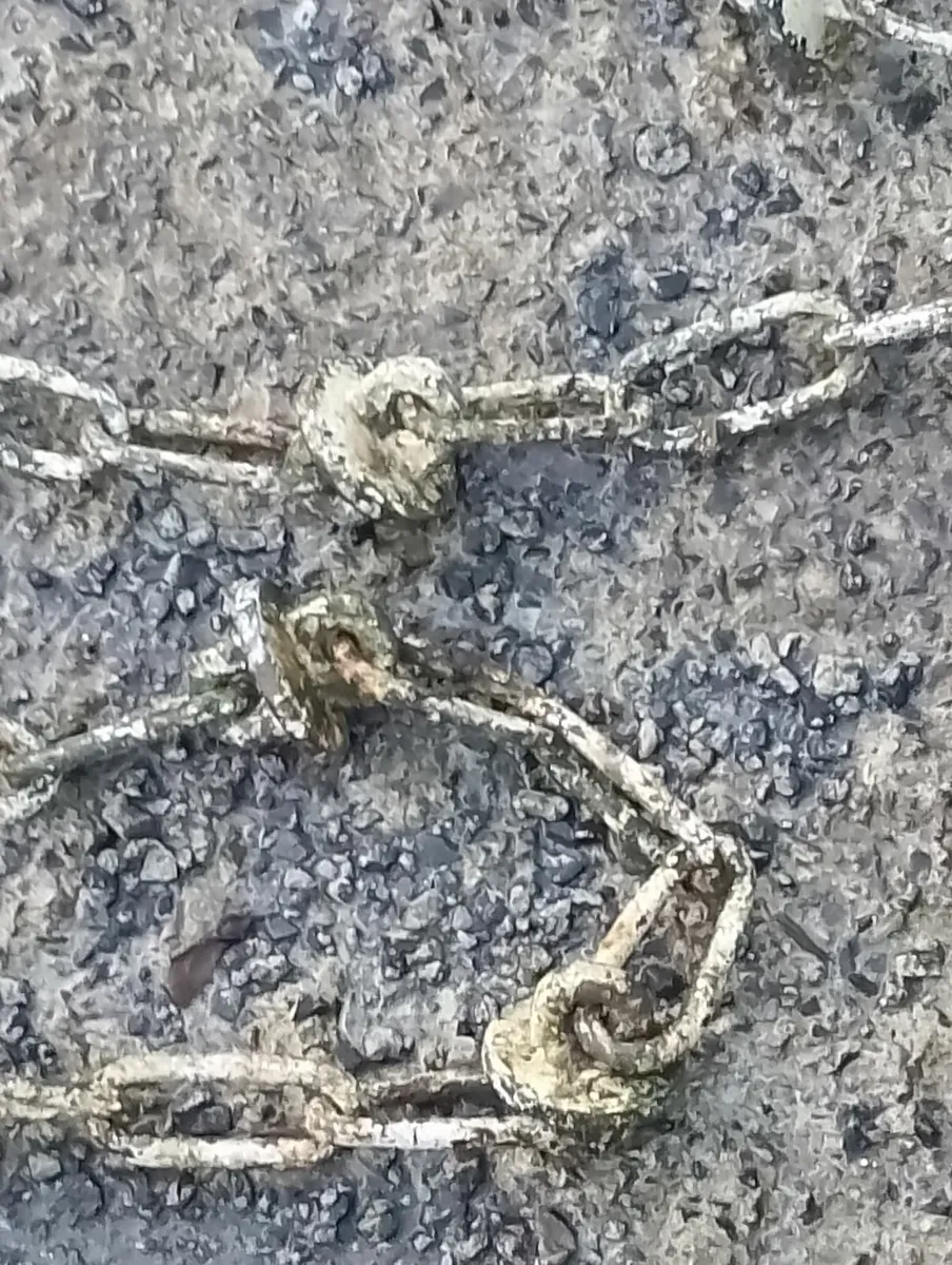 Driveway security entrance chain - Image 2