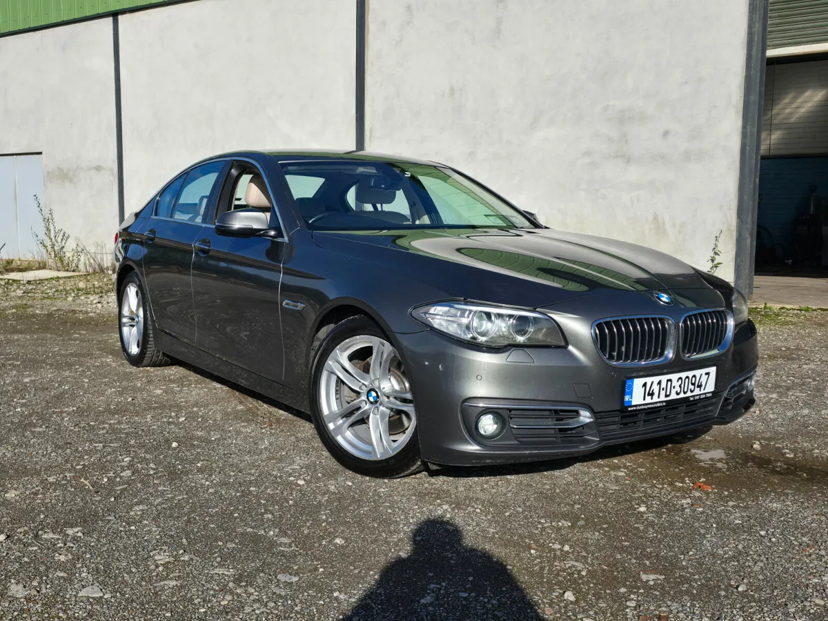 141 BMW 520d *SE LUXURY*AUTO* - Image 1