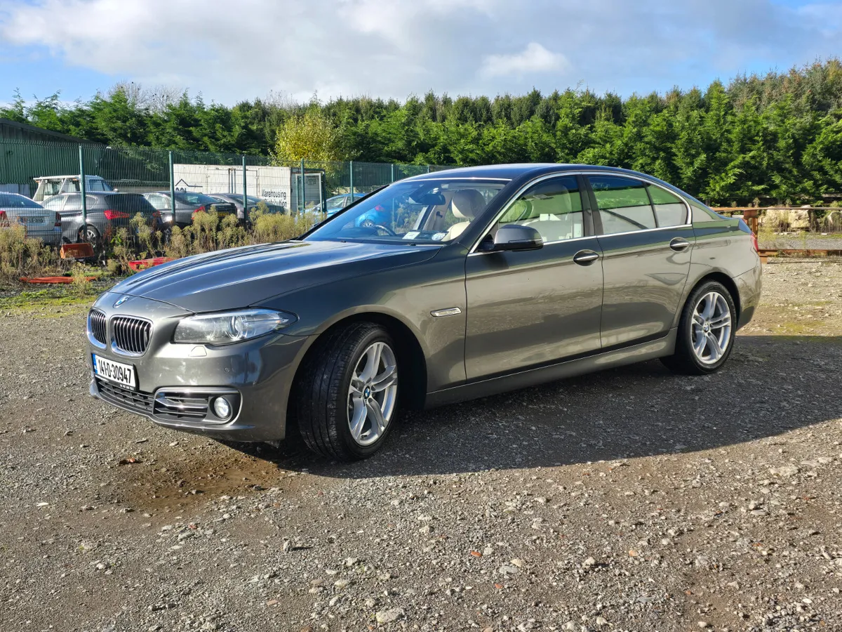 141 BMW 520d *SE LUXURY*AUTO* - Image 4