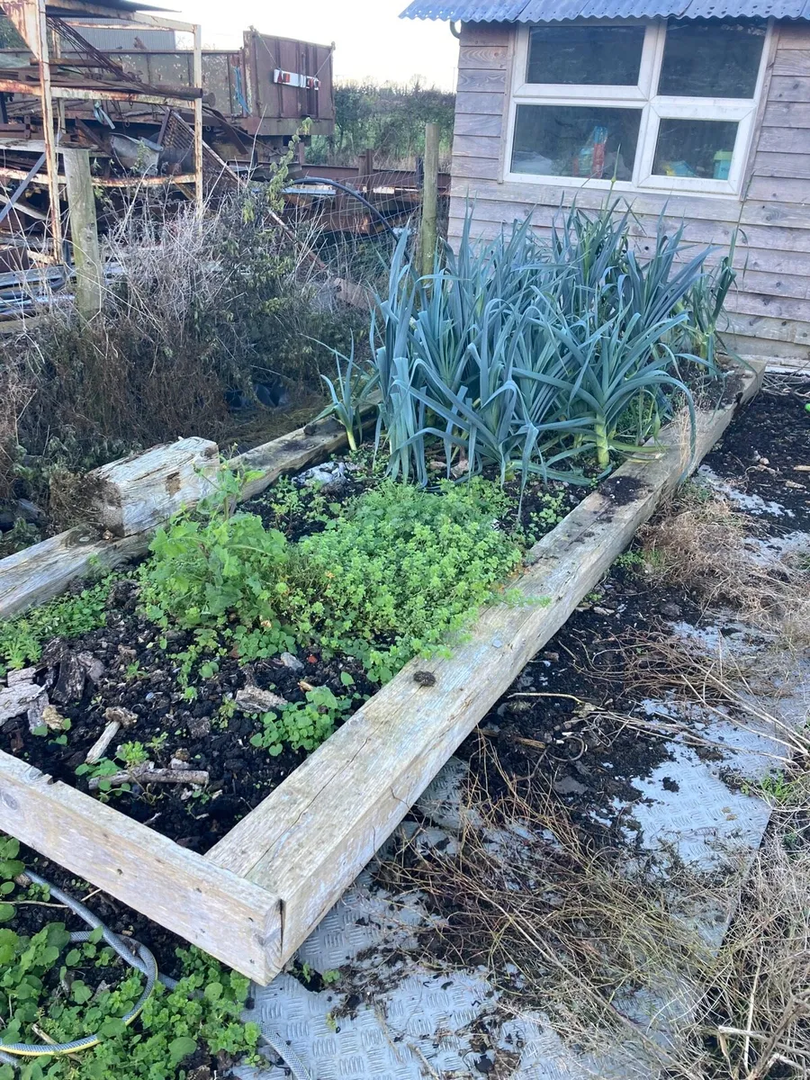 Vegetable  beds - Image 1